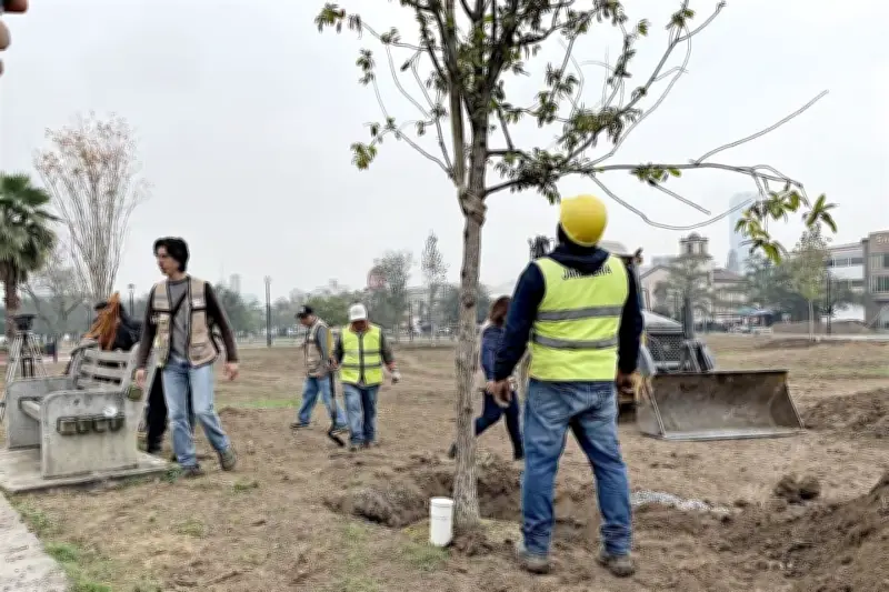 ONG exige a ASE, UIF y SAT investigar irregularidades en programa de reforestación