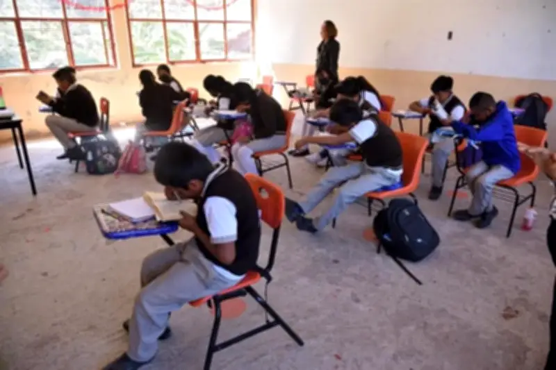 ONG Exige a Partidos Políticos Dejar Disputas y Priorizar la Educación en México