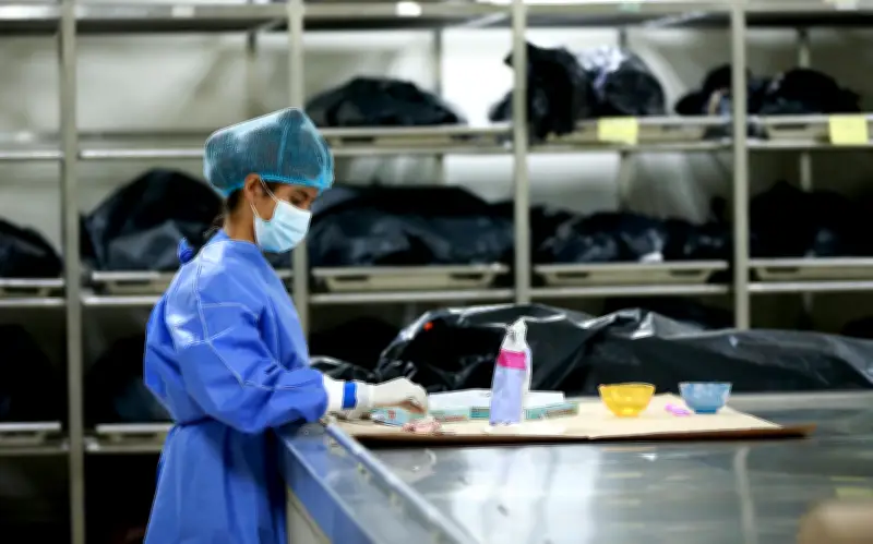 Pacientes trasplantadas en México exigen derribar mitos que frenan la donación de órganos