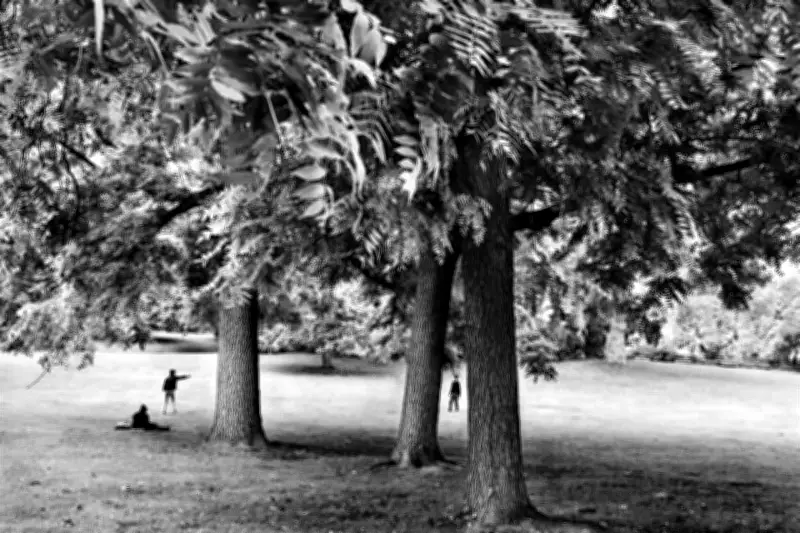 París dedica exposición a Sebastião Salgado, el fotógrafo de la humanidad