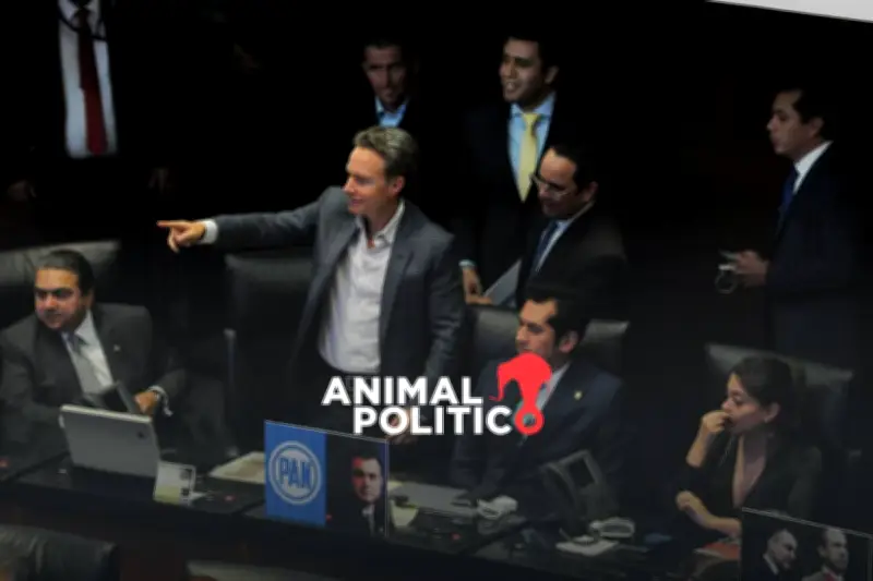 Partido Verde espera documento oficial para definir postura legislativa