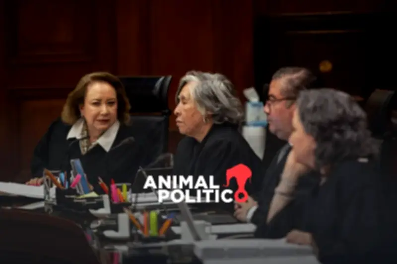 Periodista desplazada Myrna Susana Gómez sufre revés en proyecto de amparo