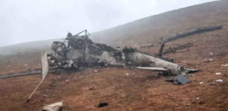 Perrito Chihuahua Sobrevive a Tragedia Aérea que Dejó 15 Fallecidos en Perú