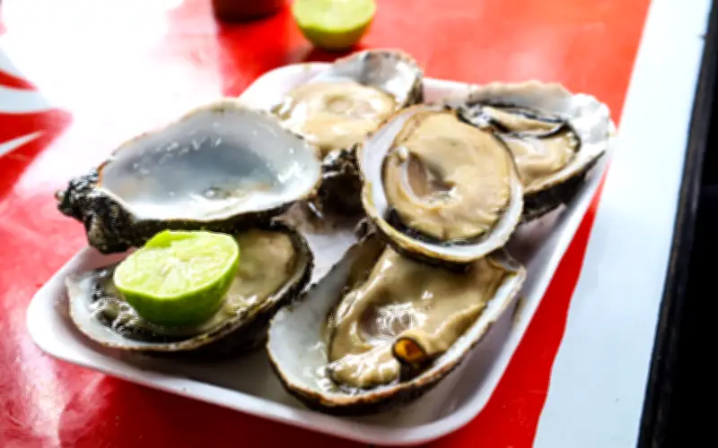 Platillos Tradicionales para Disfrutar en Miércoles de Ceniza y Cuaresma 2026