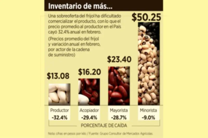Productores de Frijol Sufren Caída de Precios en Mercado Agrícola Nacional