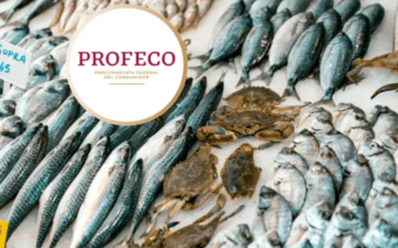Profeco revela consejos clave para elegir mariscos frescos y seguros durante Cuaresma