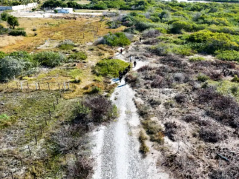 Profepa ejecuta doble operativo en Yucatán contra ocupación ilegal de manglares