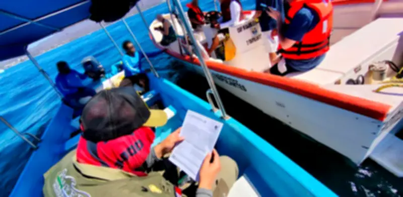 Profepa intensifica vigilancia en Nayarit tras muerte de cría de ballena jorobada