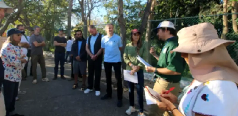 Profepa lidera reunión urgente para frenar tráfico ilegal de tortuga Casquito de Vallarta