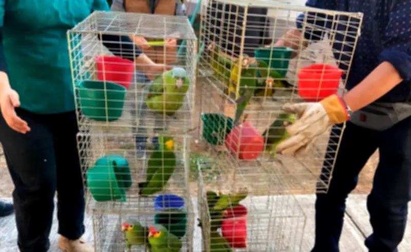 Profepa: Solo 19% de inspecciones a zoológicos y UMAs terminan en sanción entre 2020 y 2025