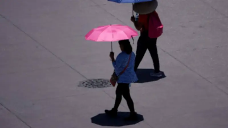 Pronóstico del clima en Manzanillo este viernes 13: calor de hasta 30°C y cielo parcialmente nublado