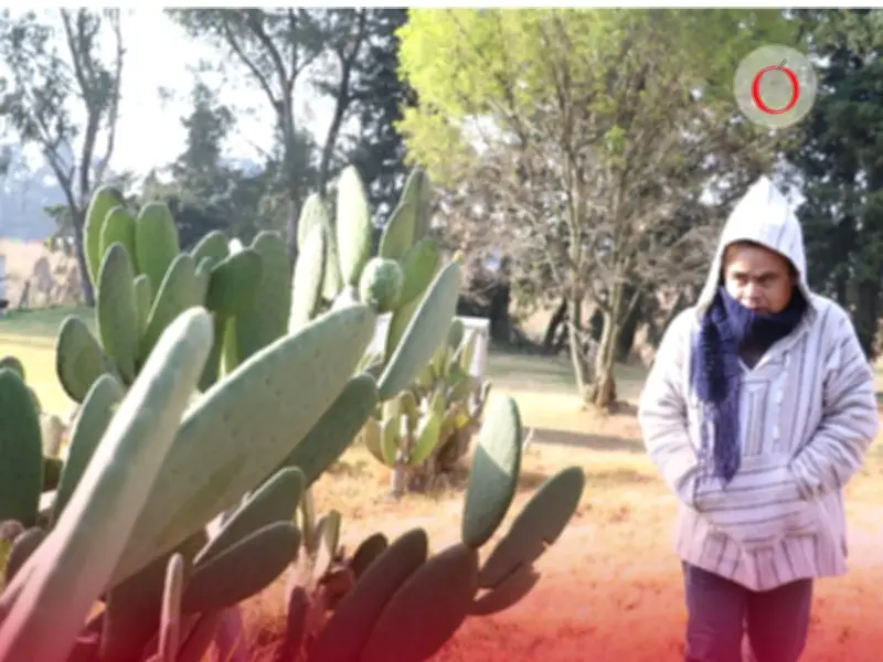 Pronóstico del tiempo: frío extremo y alerta amarilla en CDMX y Edomex este jueves