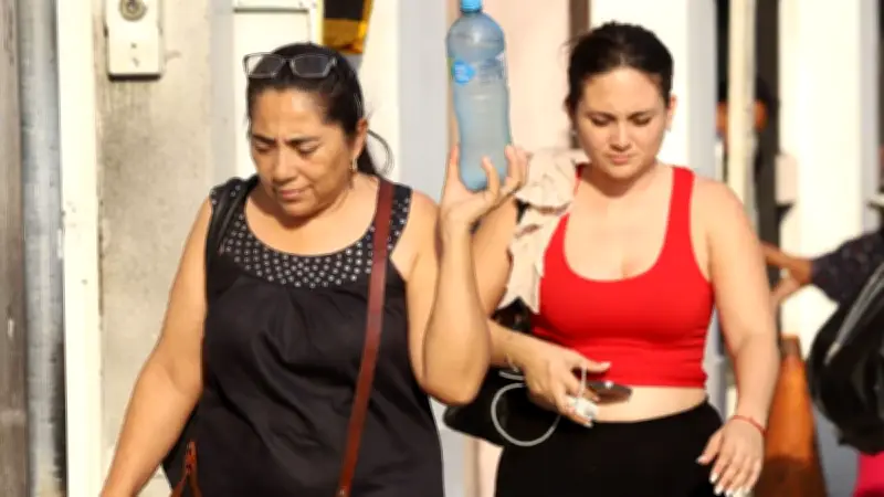 Pronóstico oficial del clima para Morelos, Coahuila: Sin lluvia y temperaturas extremas