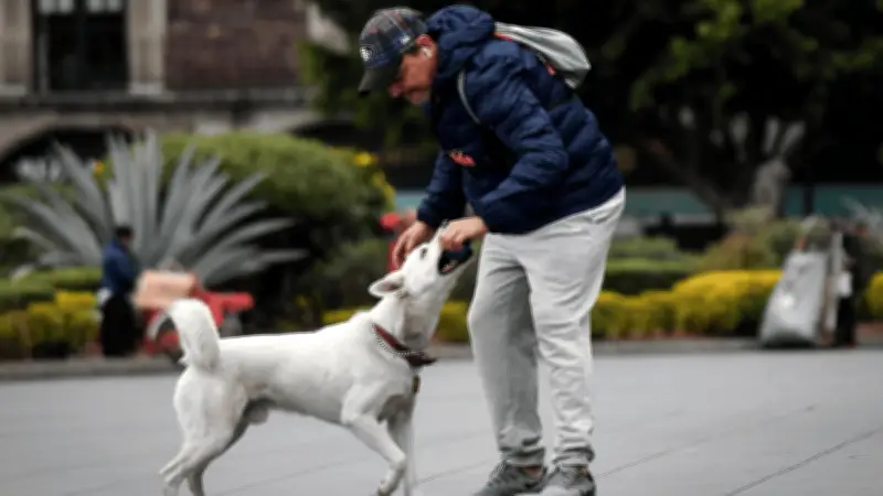 Pronóstico del clima en CDMX: frío matutino y calor hasta 26°C este lunes