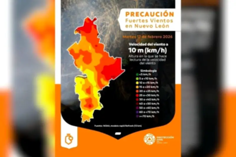 Protección Civil alerta por vientos intensos en el norte del país