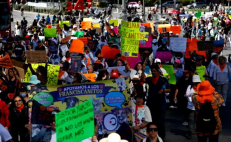 Protestas en CDMX: Marchas por 40 horas, Palestina y educación paralizan vialidades