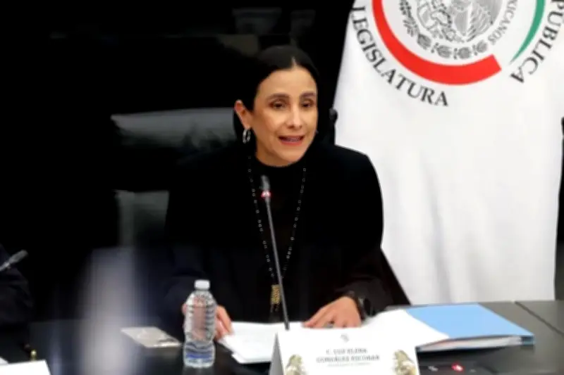 Proyectos de Inversión Mixta en Energía: Viabilidad y Desafíos en México