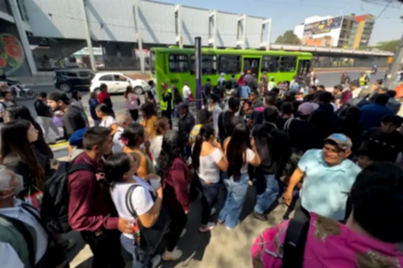 Proyectos de Línea 2 y Tlalpan enfrentan graves retrasos por asfixia presupuestal