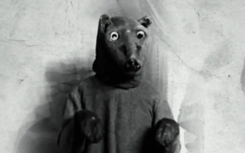 Psicólogos analizan el fenómeno Therian: ¿Cuándo se convierte en trastorno mental?