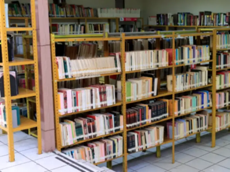 PT propone transformar bibliotecas en centros digitales ante baja lectura en México