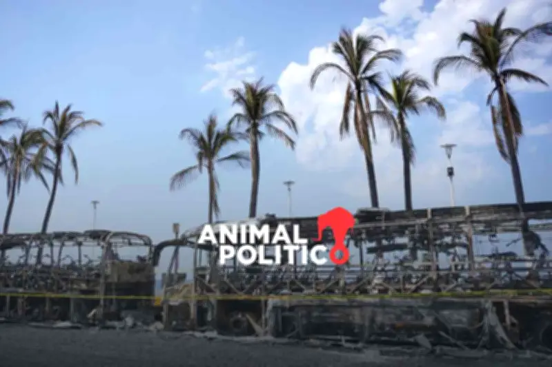 Puerto Vallarta en llamas tras caída de 'El Mencho': violencia desatada