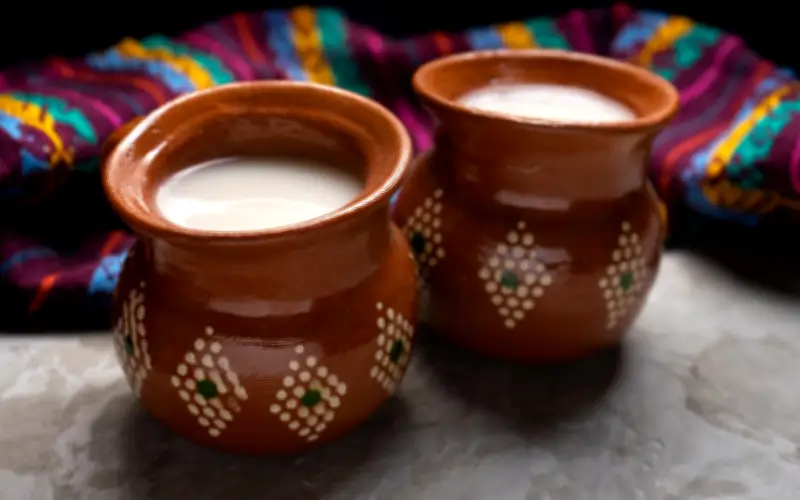 Pulque: La Bebida Milenaria de México con Sorprendentes Beneficios para la Salud