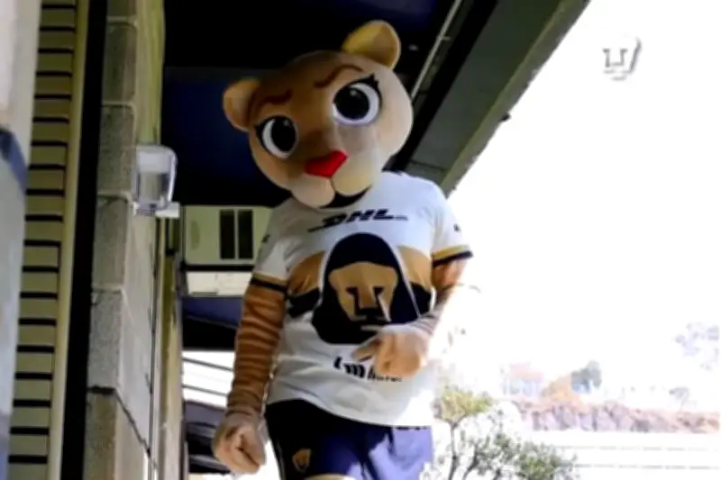Pumas UNAM presenta a Goya, su nueva mascota oficial para la temporada