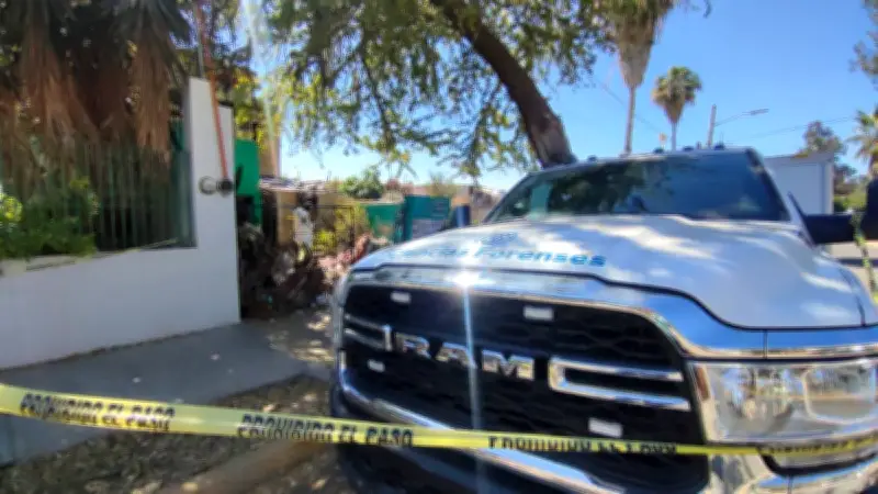 Reanudan búsqueda en finca de Guadalajara para hallar a hija de exdirector forense