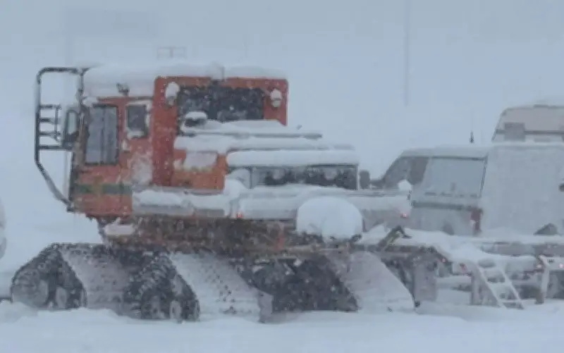 Recuperan cuerpos de 9 esquiadores tras avalancha letal en California