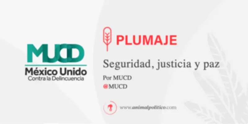 Reforma Judicial de 2024 Genera Crisis en Procesos Penales y Justicia para Adolescentes