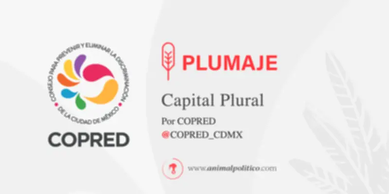 Reforma laboral 2026: Obligatoriedad de protocolos efectivos contra violencia en centros de trabajo