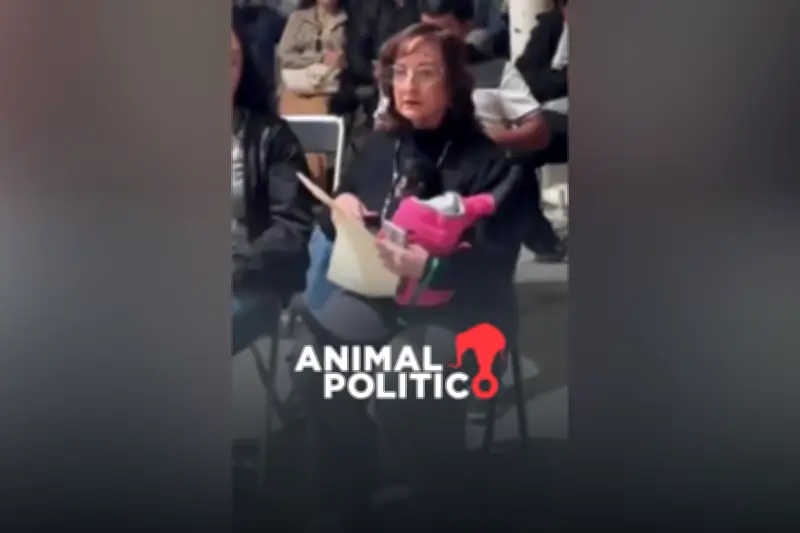 Regidora de Ocotlán, Jalisco, renuncia tras polémica por video con mono araña