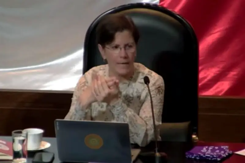 Relatora de la ONU advierte cifras alarmantes de feminicidio en México