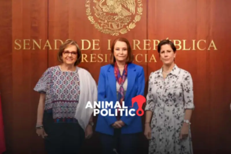 Relatora de la ONU advierte que leyes a favor de mujeres en México son insuficientes sin recursos