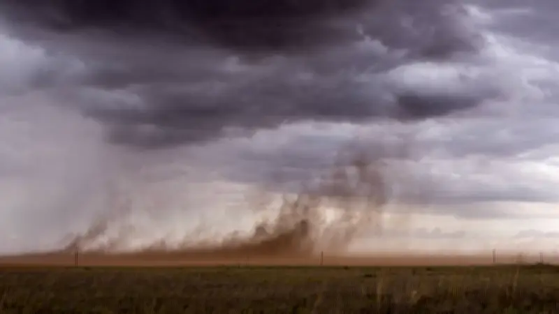 Remolino de Tierra 'Dust Devil' Sorprende a Conductores en Carretera de Tlaxcala