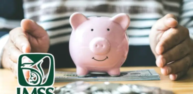 Renta Vitalicia IMSS: Aseguradoras Autorizadas para Pensión de por Vida