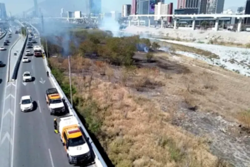 Reportan 382 incendios forestales en un solo día en Nuevo León