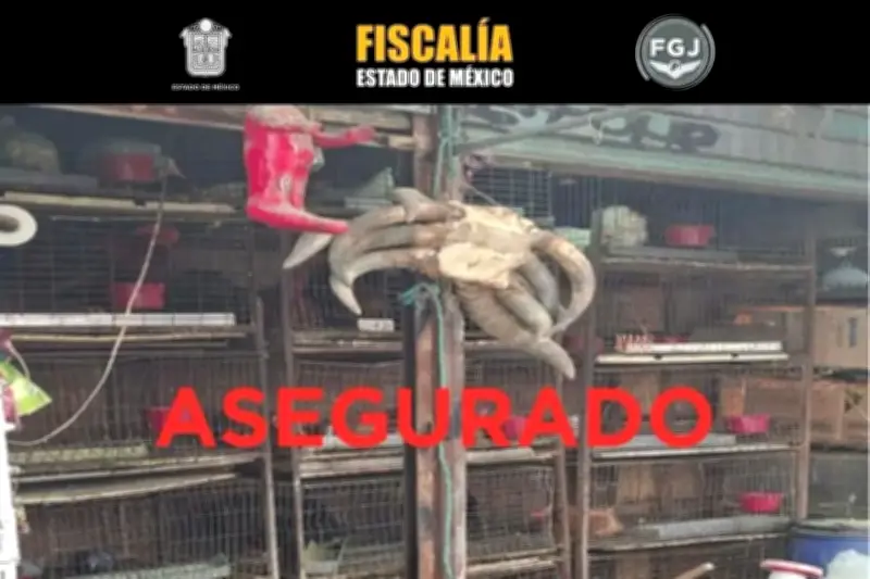 Rescatan 162 animales en operativo del mercado de Cuautitlán, Estado de México