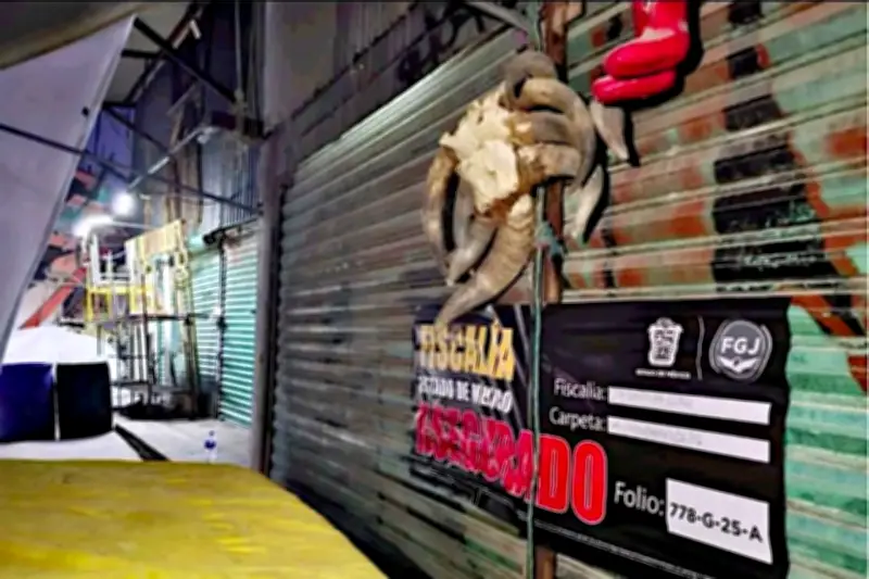 Rescatan a 162 animales de maltrato en Estado de México en operativo de fiscalía