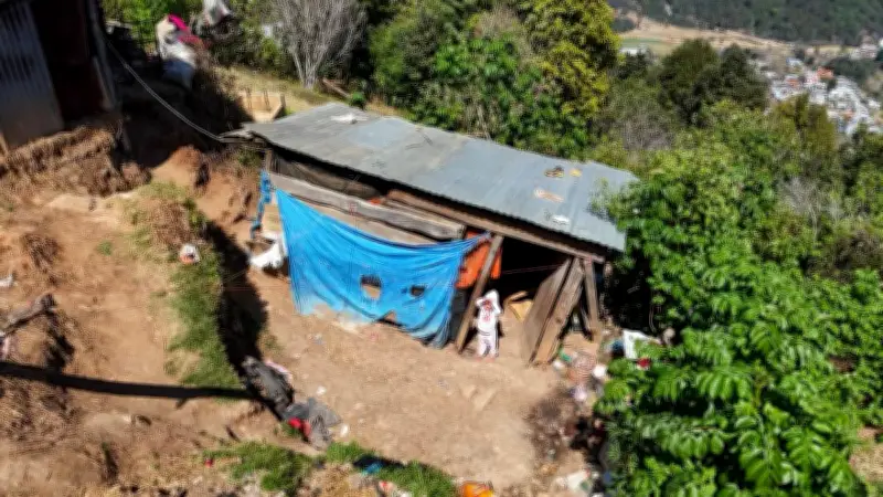Rescatan a 8 niños en Chiapas viviendo en casa de cartón; gobierno construirá vivienda digna