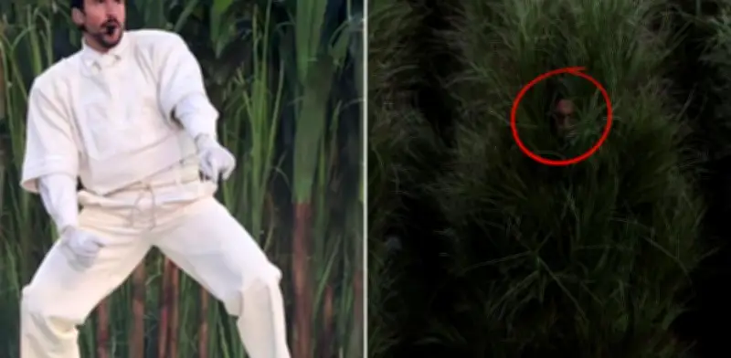 Revelan el pago a las personas disfrazadas de árboles en el show de Bad Bunny del Super Bowl