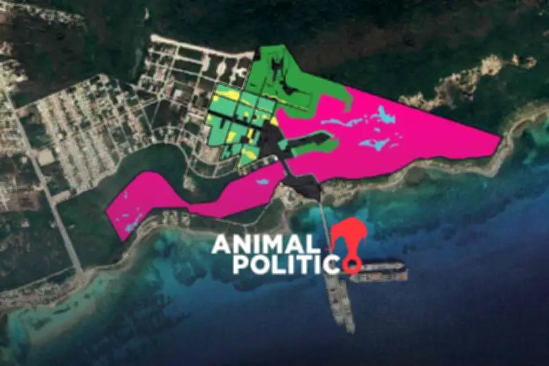 Royal Caribbean inaugura 'Perfect Day' en Mahahual y Cozumel, impulsando el turismo en Quintana Roo