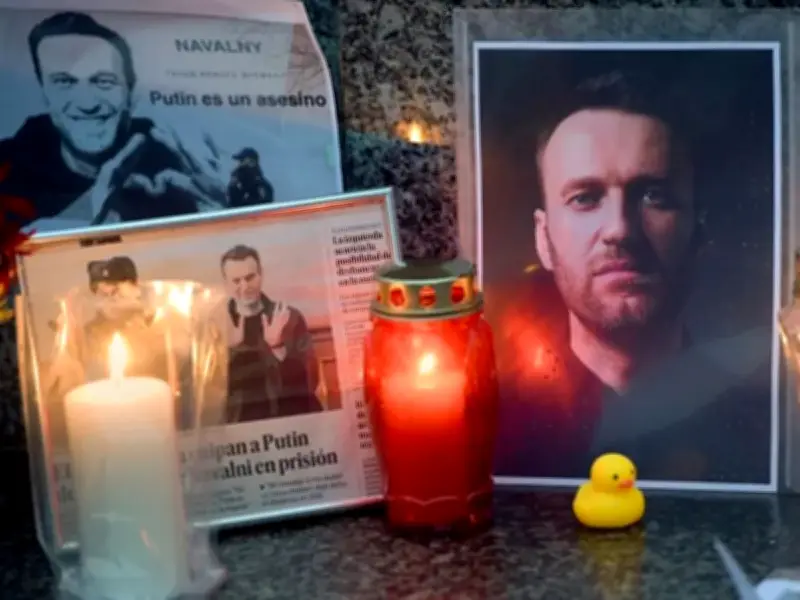 Rusia envenenó a Navalni con toxina de rana sudamericana, revela investigación europea