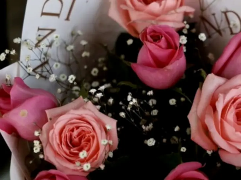 SADER Jalisco proyecta aumento del 25% en venta de rosas para el Día del Amor y la Amistad