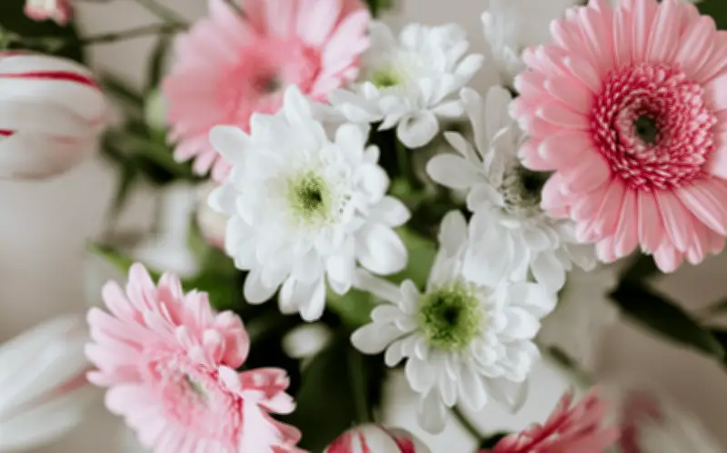 San Valentín: El Lenguaje Secreto de las Flores y su Significado Emocional