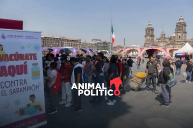 Sarampión: Estrategia de Vacunación Prioritaria en Estados con Mayor Incidencia