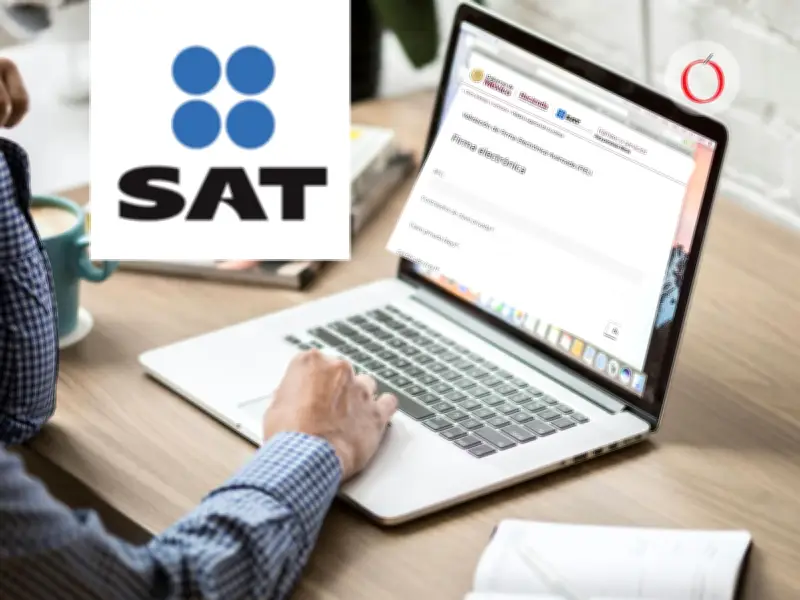 SAT 2026: Renovación de e.firma para evitar multas y trámites bloqueados