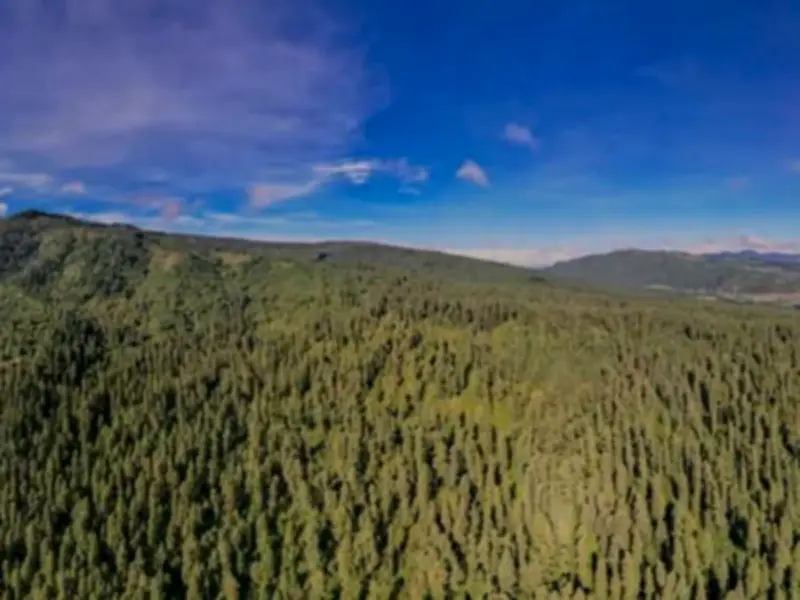 Sedema advierte sanciones por cobros ilegales en Desierto de los Leones