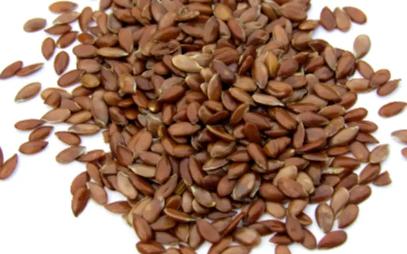 Semillas de Lino: El Tesoro Nutricional que Supera al Salmón y la Avena