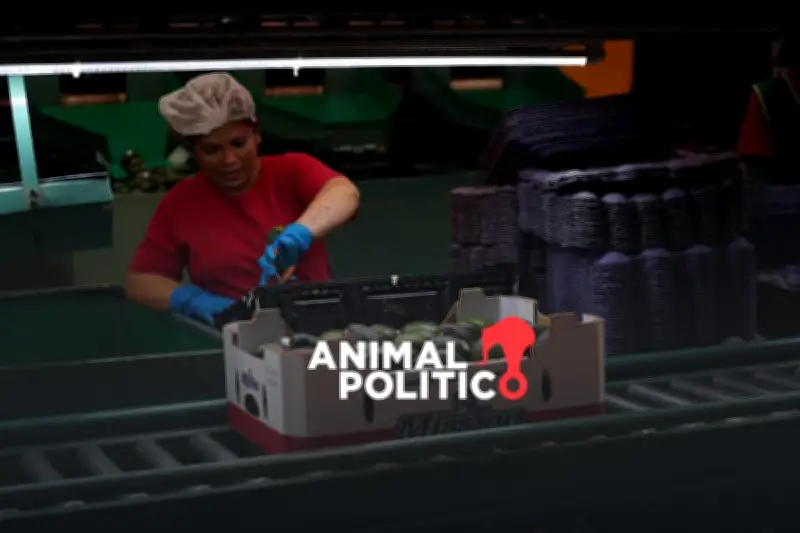 Senado aprueba histórica reforma laboral para reducir jornada a 40 horas semanales